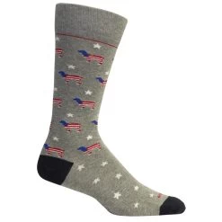 Brown Dog Red White Beau Americana Dog Socks